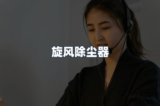 旋风除尘器